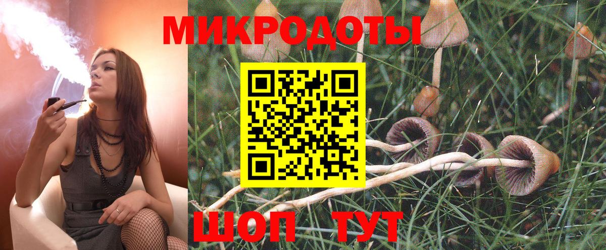 купить наркоту  Галлюциногенные грибы мухоморы  Вход с VPN  Краснознаменск  Галлюциногенные грибы Psilocybine cubensis 